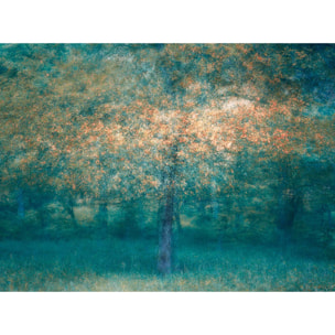 Papier peint panoramique Forêt Bleue Intissé