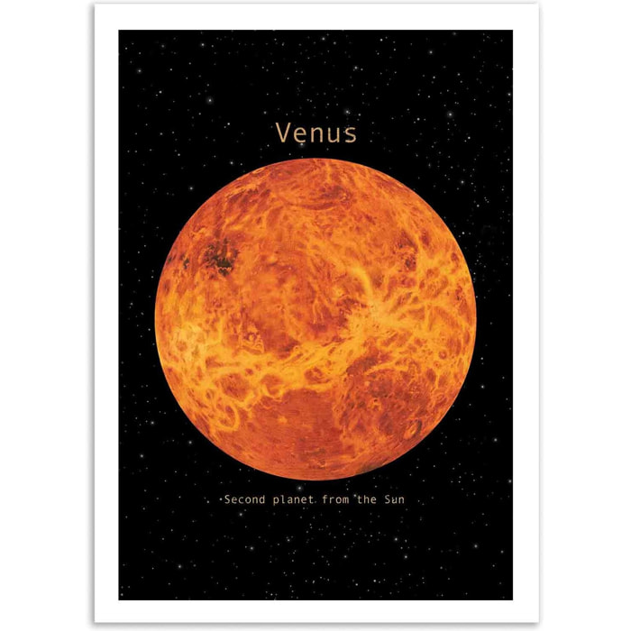 Affiche - Venus - Terry Fan