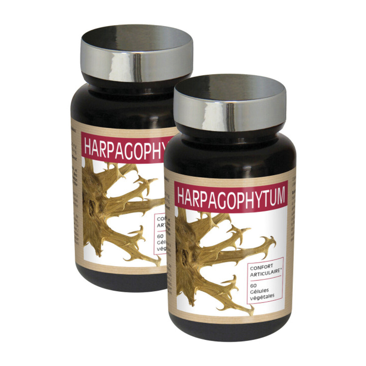 NUTRI EXPERT - Harpagophytum - Favorise la mobilité articulaire - Améliore la flexibilité des articulations et yendons - Soulage les douleurs articulaires - Végan - Lot de 2 produits