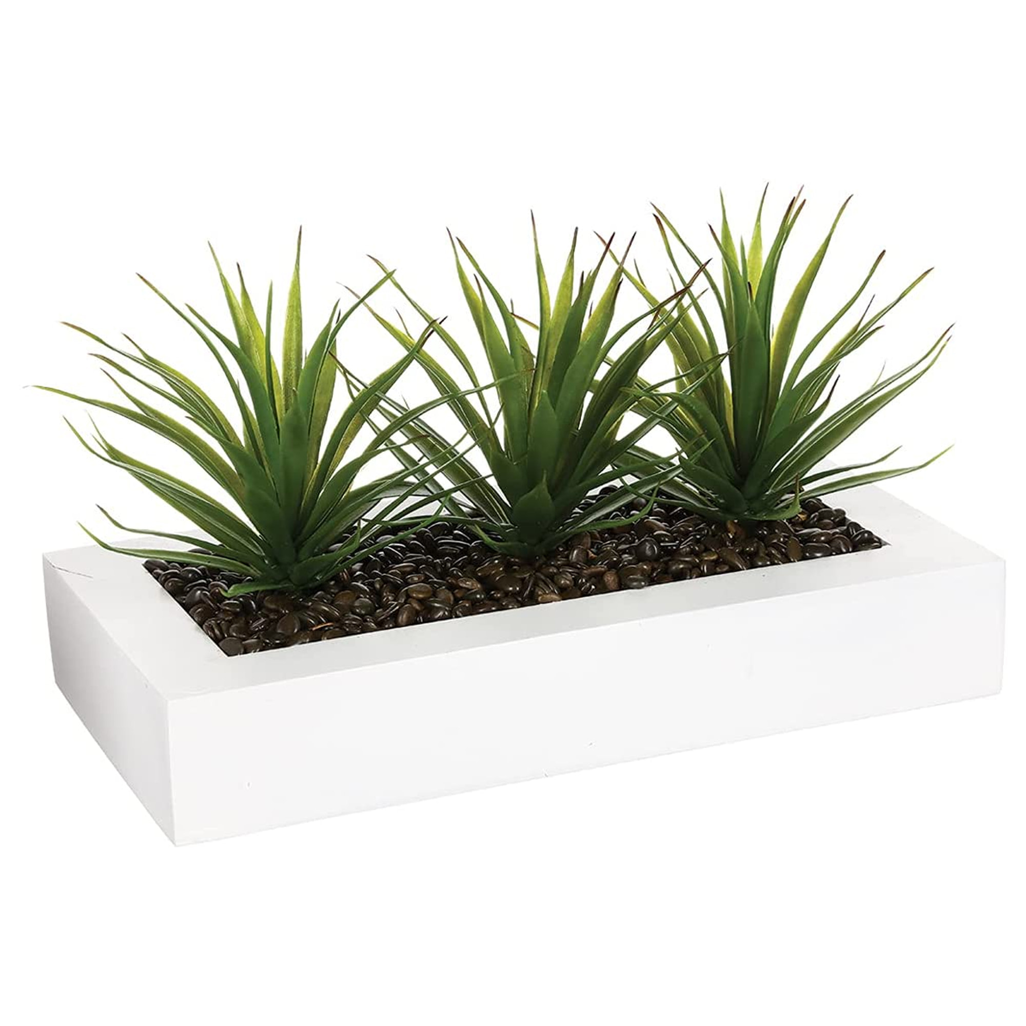 Centro de mesa - 3 Aloe Vera 17 cm- Atmosphera