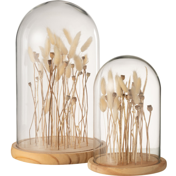 J-Line décoration Cloche Fleurs Sechées - verre/bois - ecru/brun - large