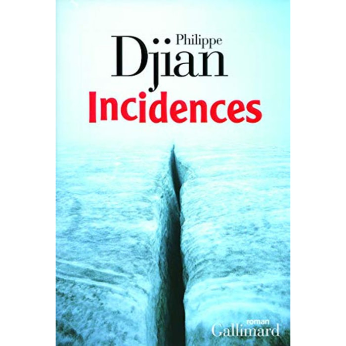 Philippe Djian | Incidences | Livre d'occasion