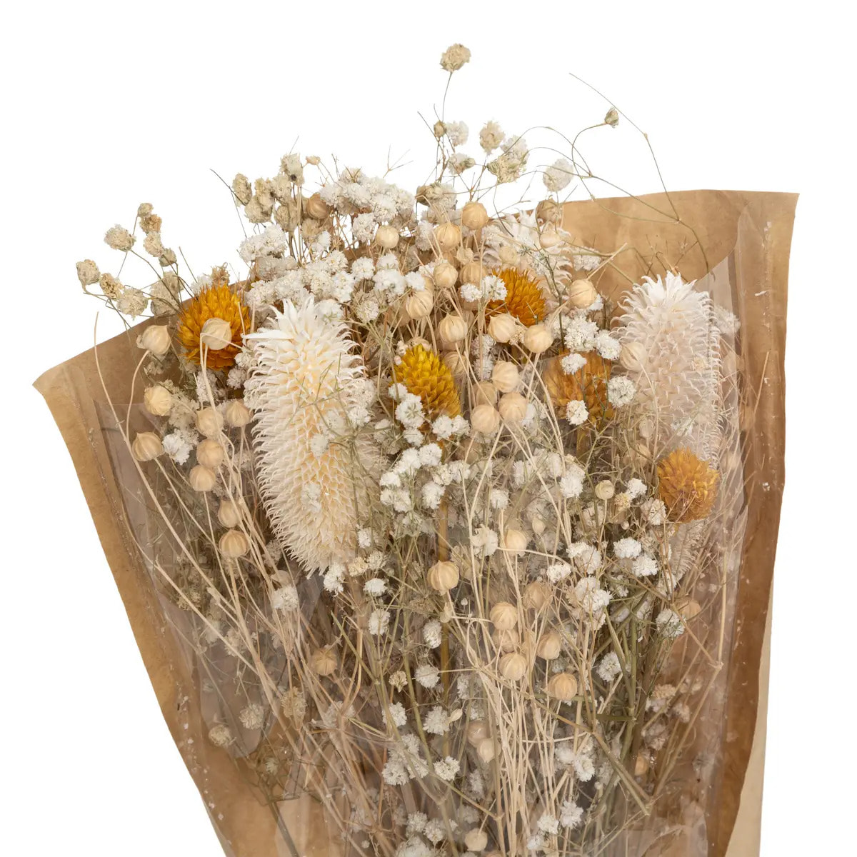 Bouquet fleurs séchées "Chardon" H48cm