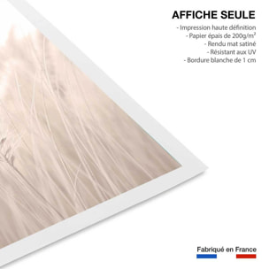 Poster blé poudré Affiche seule