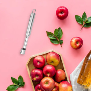 Vide pomme inox Fackelmann Ovale