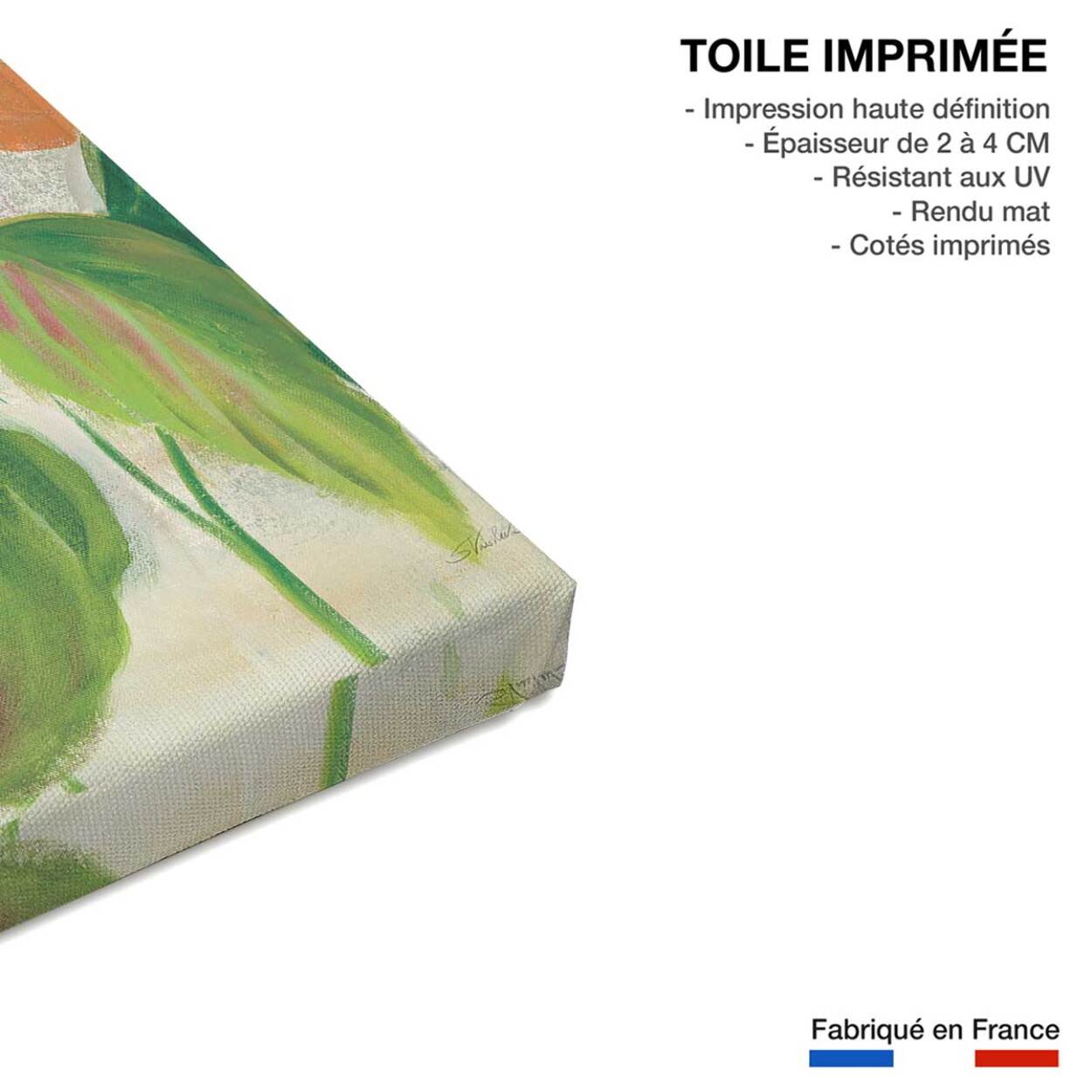 Tableau Jardin tropical Toile imprimée