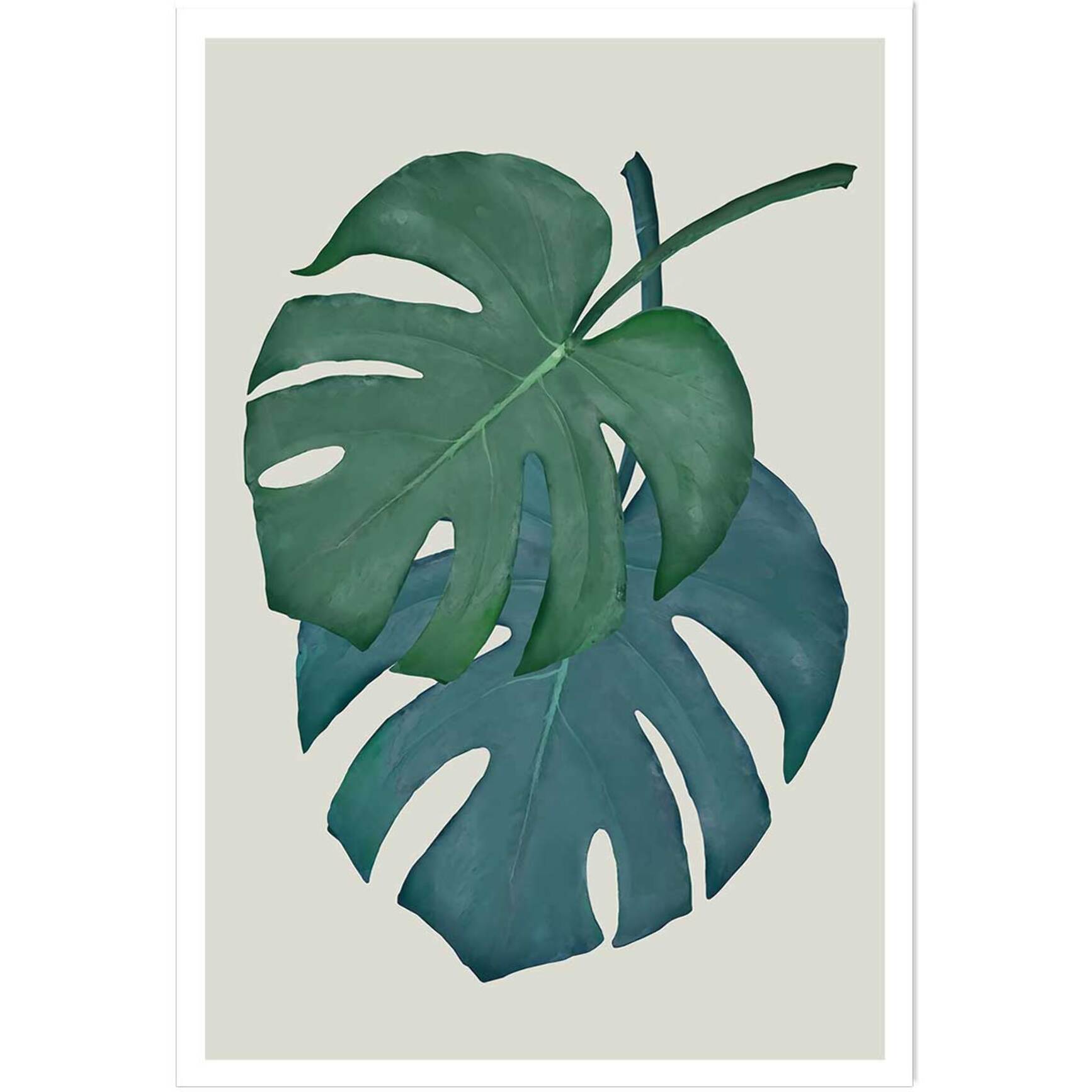 Affiche Monstera turquoise Affiche seule