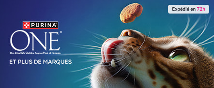 MKTPLACE_Thematic_Food_Purina8