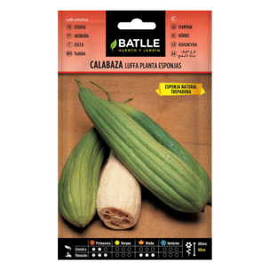 Semillas de Calabaza luffa Batlle
