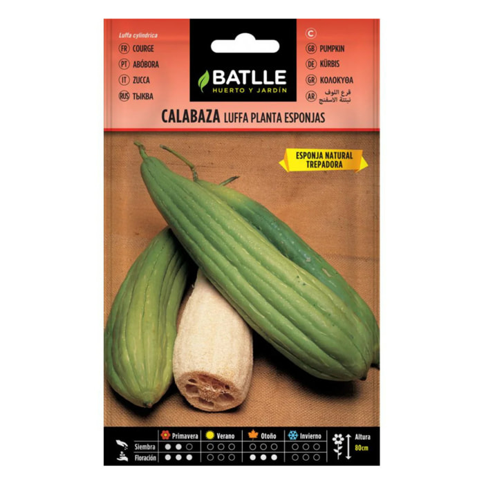 Semillas de Calabaza luffa Batlle