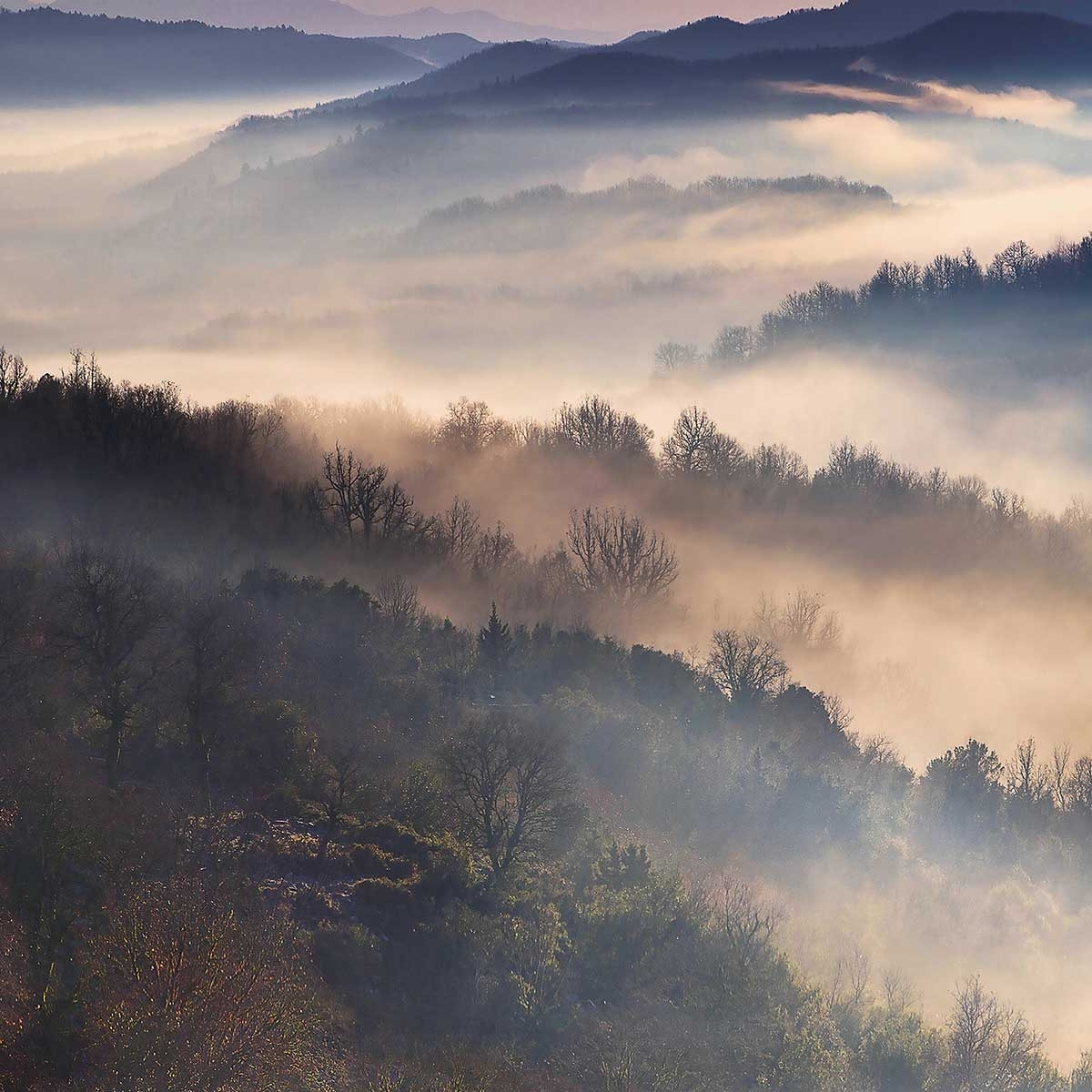 Affiche paysage brume magique Affiche seule