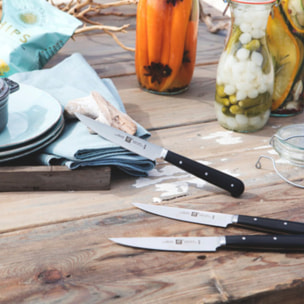 Couteaux à steak 6-pcs ZWILLING