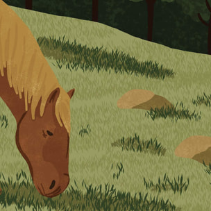 Papier peint panoramique Rhune et pottock illustrés  Intissé