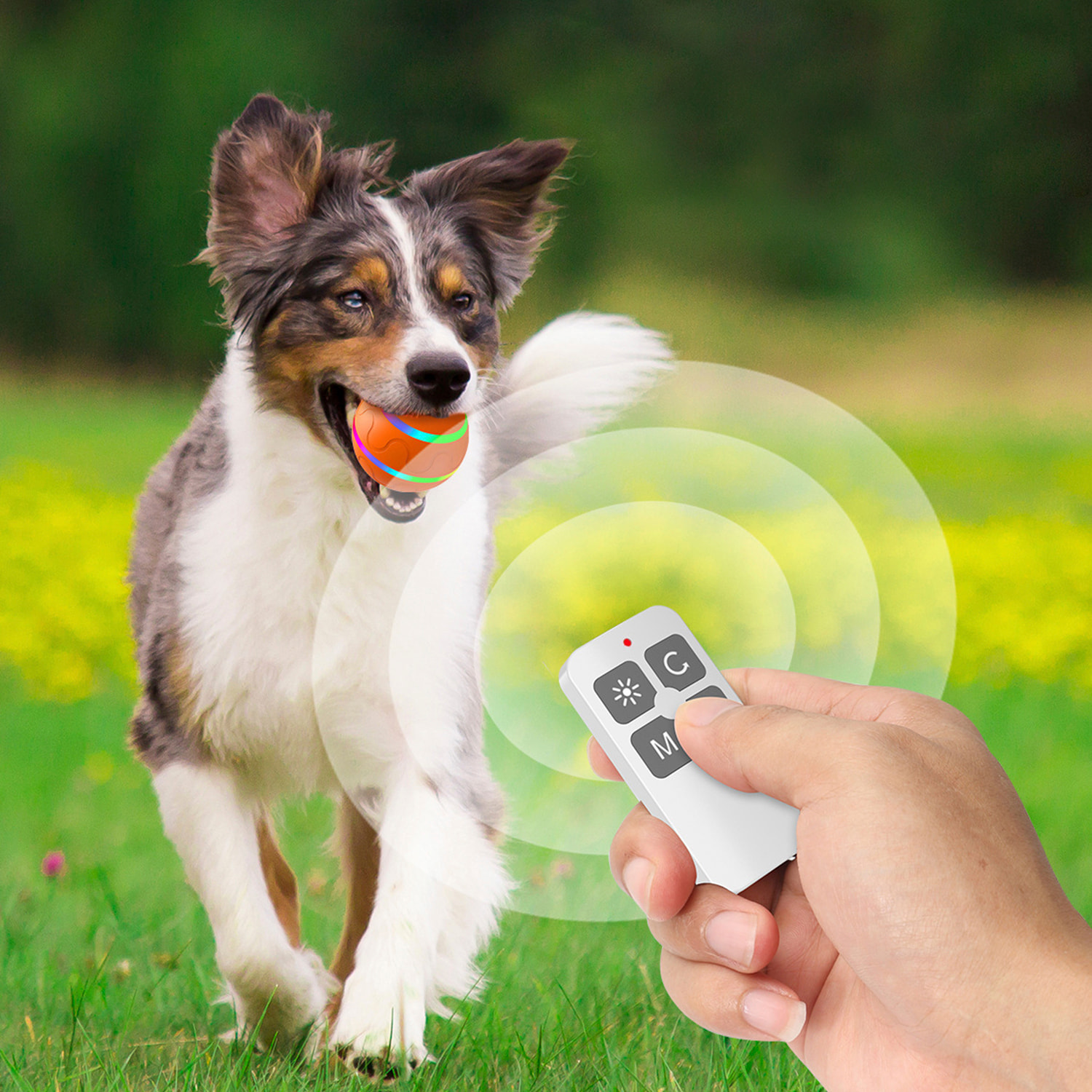 DAM Bola rebotadora. Juguete interactivo inteligente para perros y mascotas. Luz activada por movimiento. 8x8x8 Cm. Color: Naranja