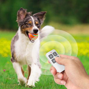 DAM Bola rebotadora. Juguete interactivo inteligente para perros y mascotas. Luz activada por movimiento. 8x8x8 Cm. Color: Naranja