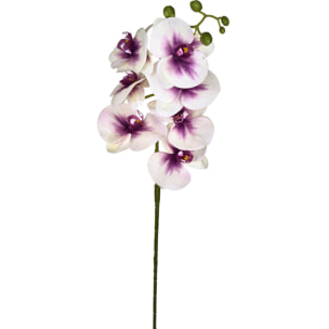 Phalaenopsis Con 7 Fiori. Altezza 96 Cm - Pezzi 6 - 14X96X8cm - Colore: Altro - Bianchi Dino - Fiori Artificiali