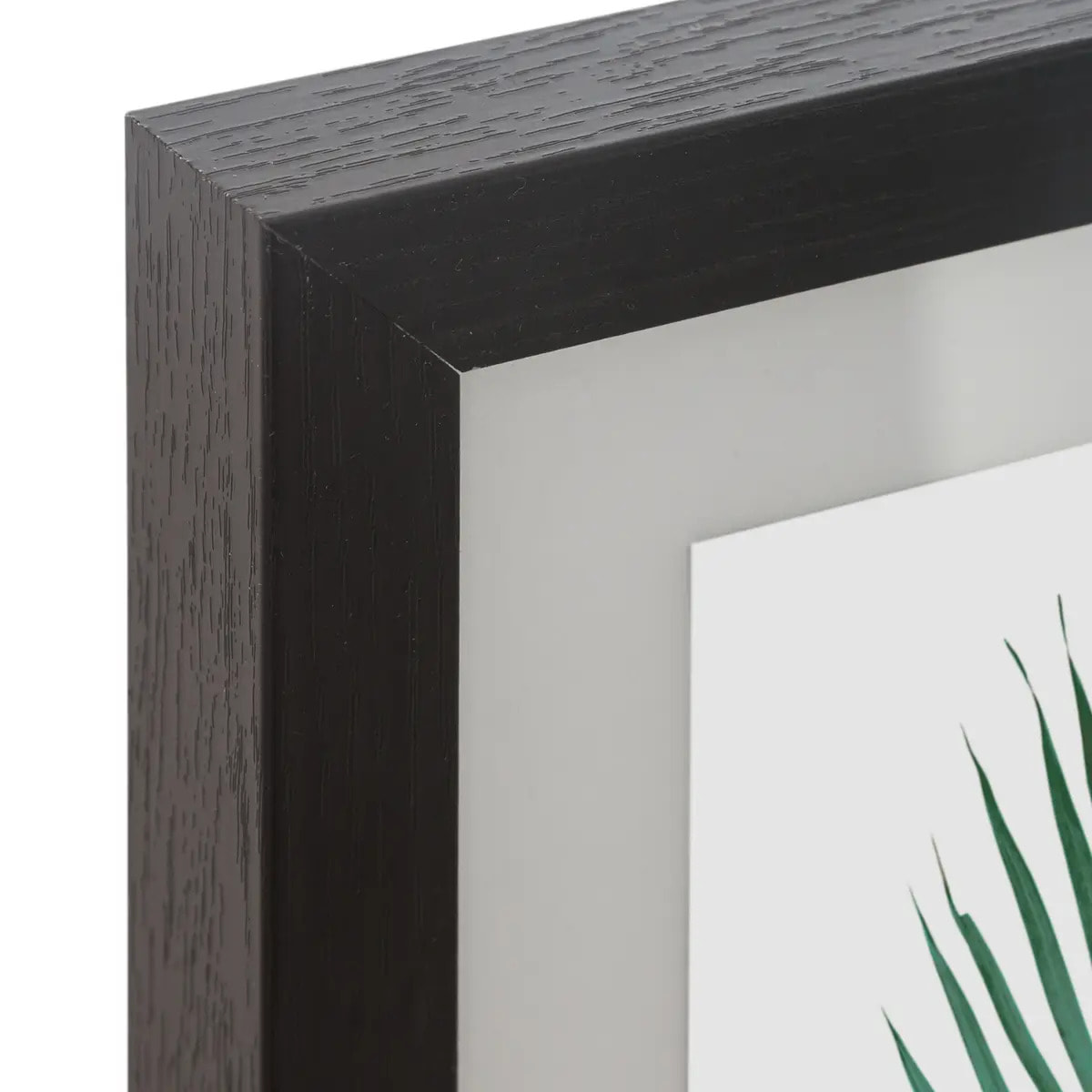 Set de 5 cadres "Tropical" - bois et verre - noir