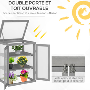 Mini serre de jardin 3 niveaux dim. 58L x 44l x 78H cm double porte toit ouvrant bois sapin lasuré peint gris polycarbonate