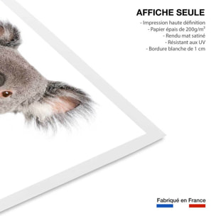Affiche enfant bébé koala  Affiche seule