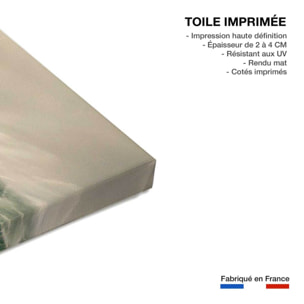 Tableau paysage ocean surf belharra  Toile imprimée