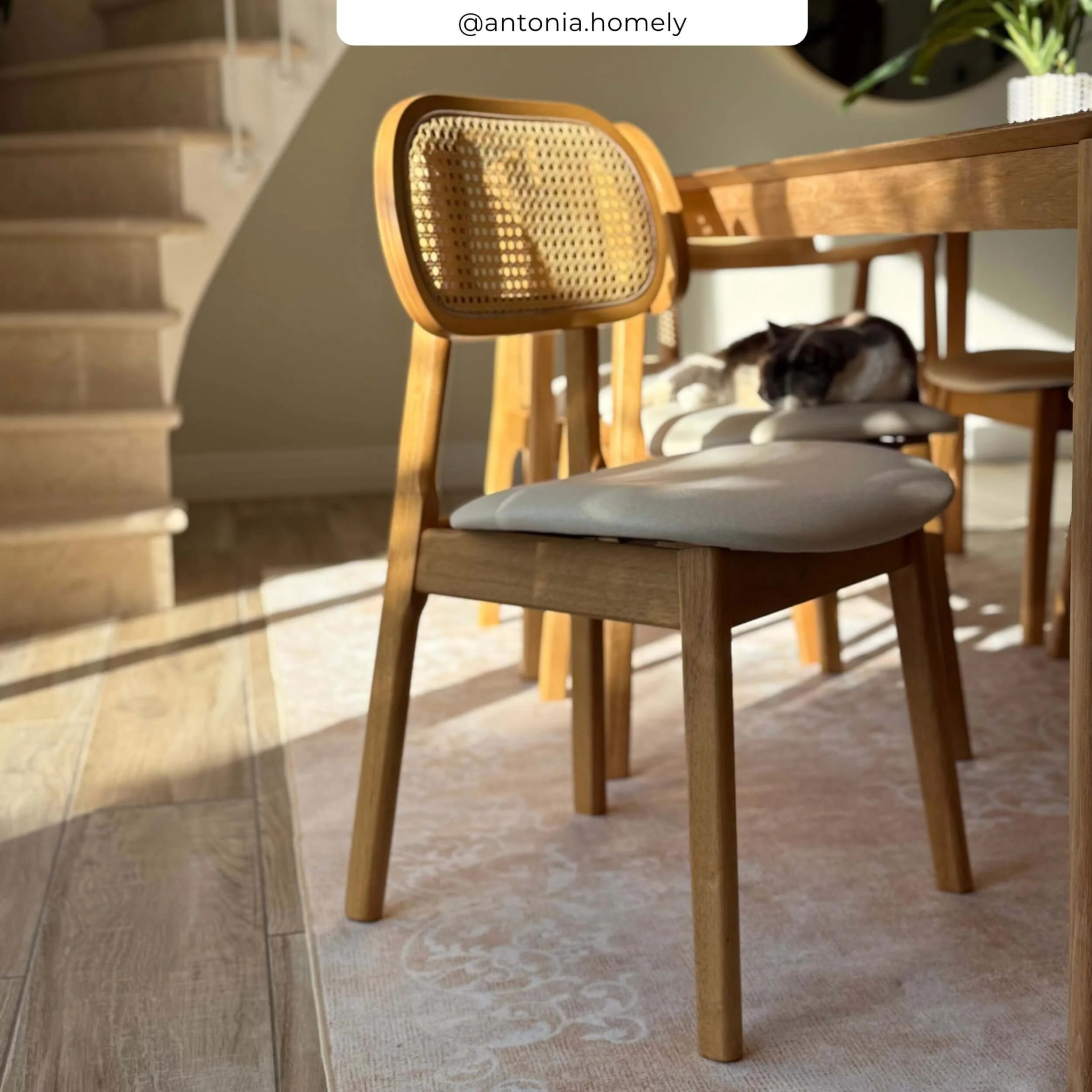 Lot de 2 chaises en bois clair, tissu beige et rotin synthétique - Maria