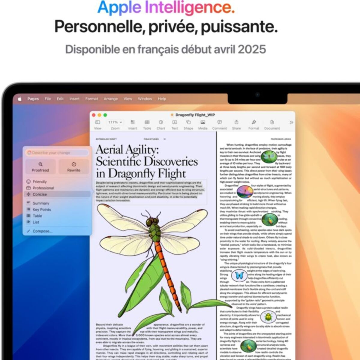 Ordinateur Apple MACBOOK Air 13,6" Puce M4 CPU 10 / GPU 10 coeurs Mémoire RAM 16Go Stockage 512Go SSD Retina Argent