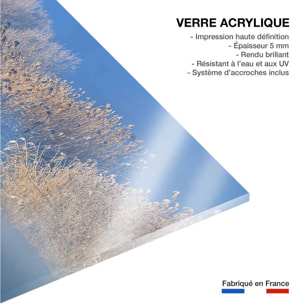 Tableau cygnes dans le givre matinal Tableau plexiglas