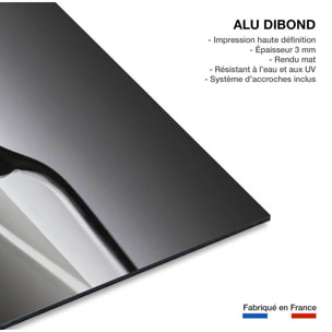 Tableaux cuisine duo de fourchette  Tableau alu Dibond