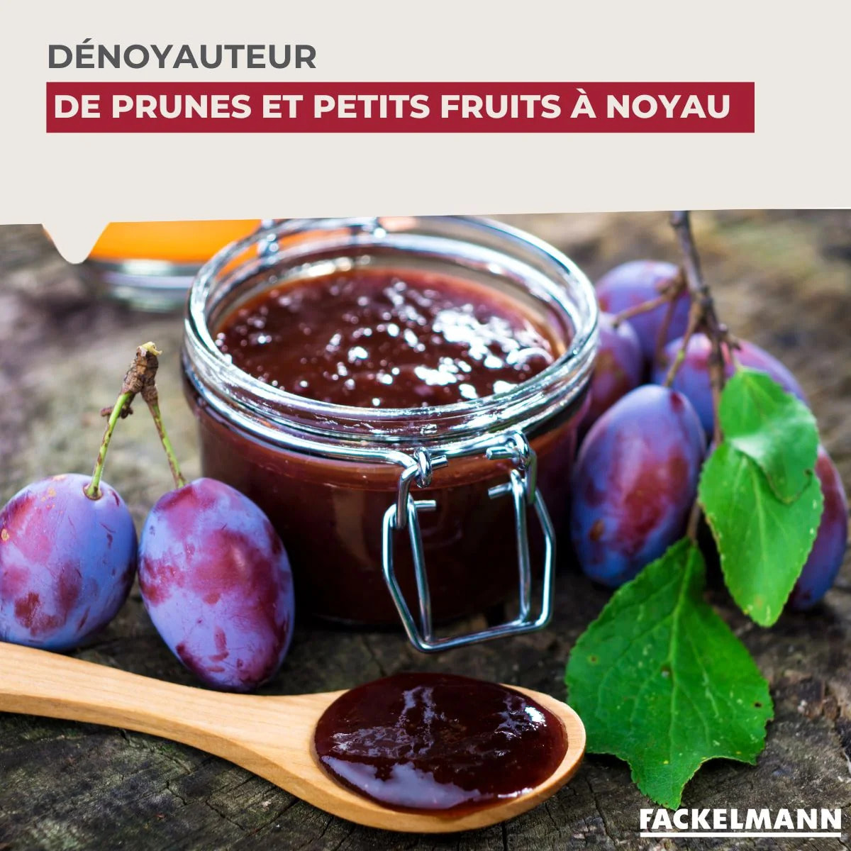 Dénoyauteur de prunes Fackelmann Arcadalina