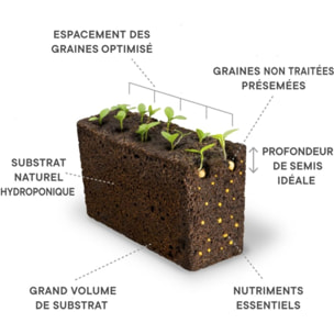 Recharge jardin d'intérieur VERITABLE piment Jalapeno