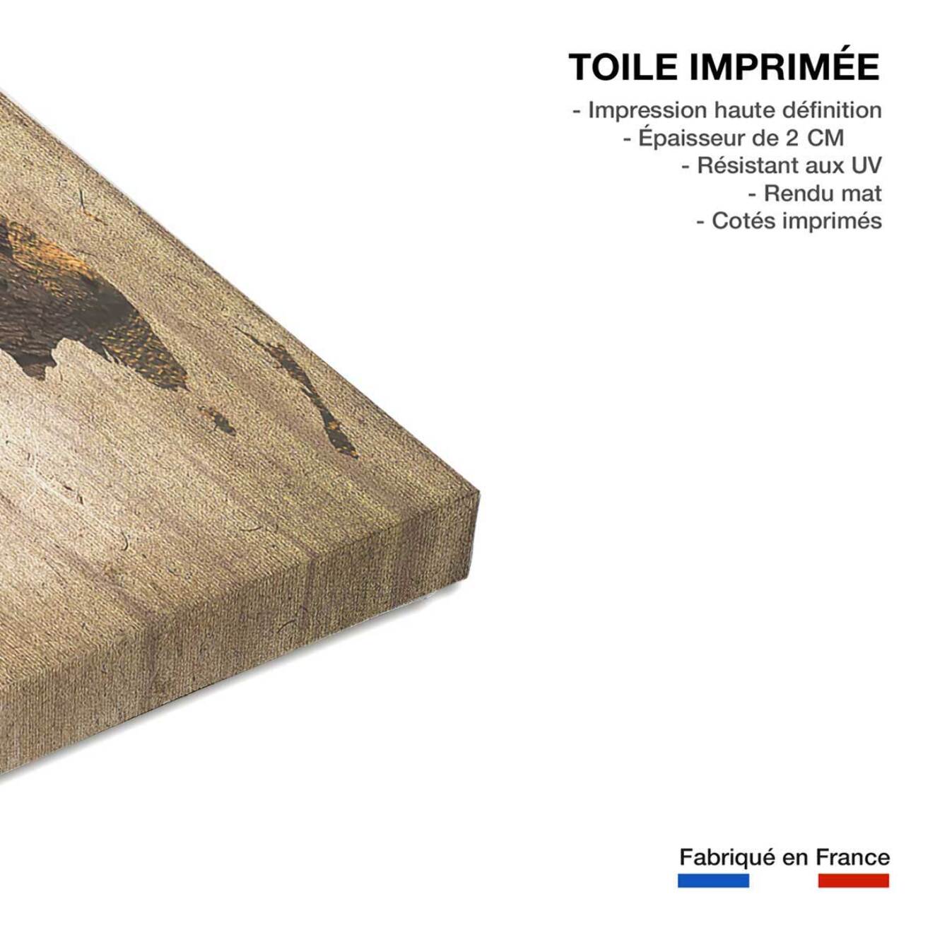Tableau carte du monde couleur bois - 80x50 cm Toile imprimée