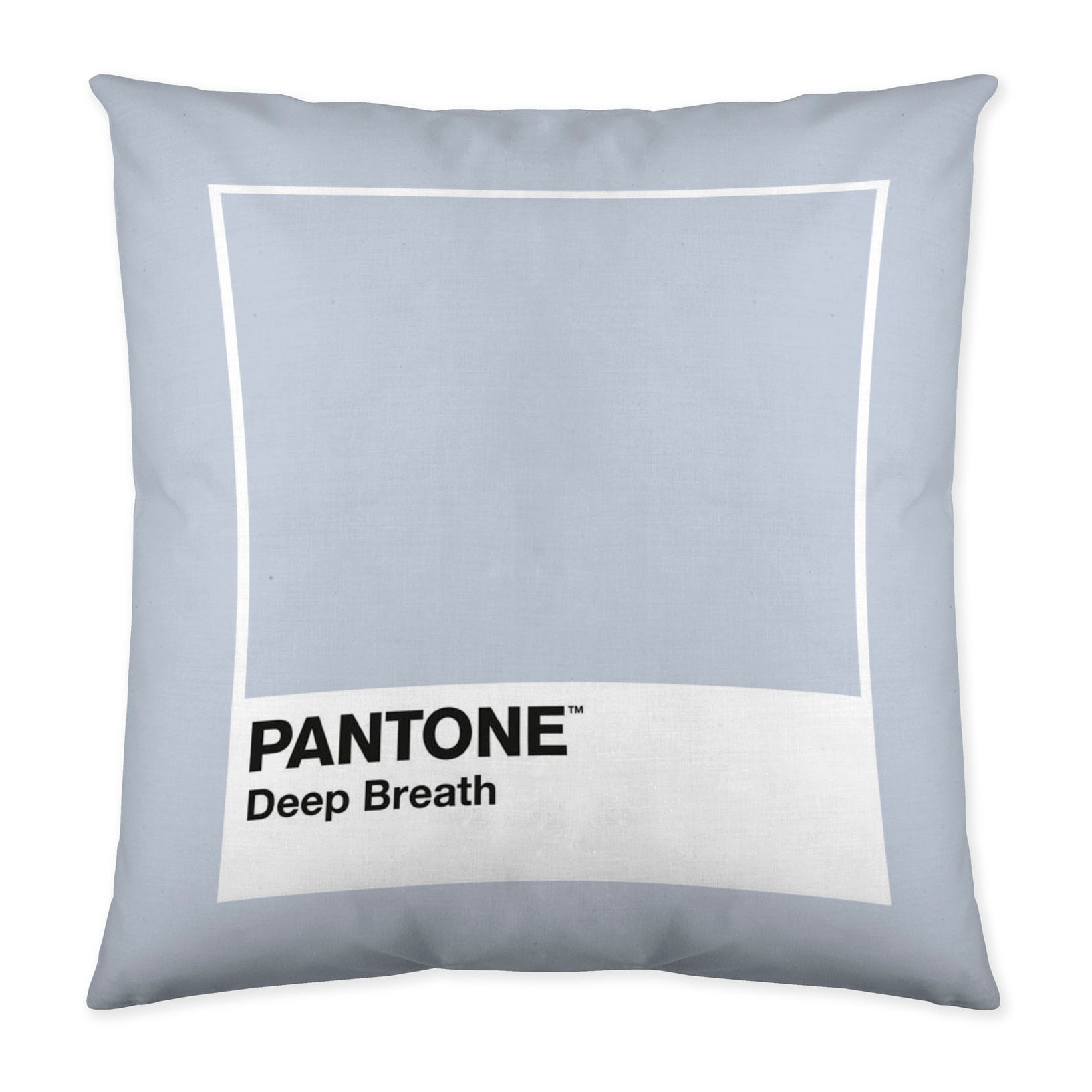 Pantone - Funda de Cojín Estampado - Con Cremallera - Sin relleno - 100% Algodón - Deep Breath