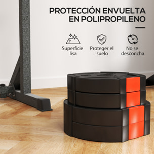 Juego de Discos Pesas de 4 Piezas Discos de Pesas Total 25 kg 2x7,5 kg 2x5 kg con Orificios de 2,5 cm para Entrenamiento Fitness en Hogar Gimnasio Negro