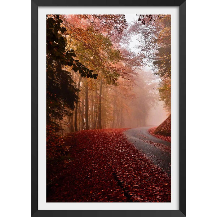 Affiche nature explosion automnale Affiche + cadre en bois - Noir