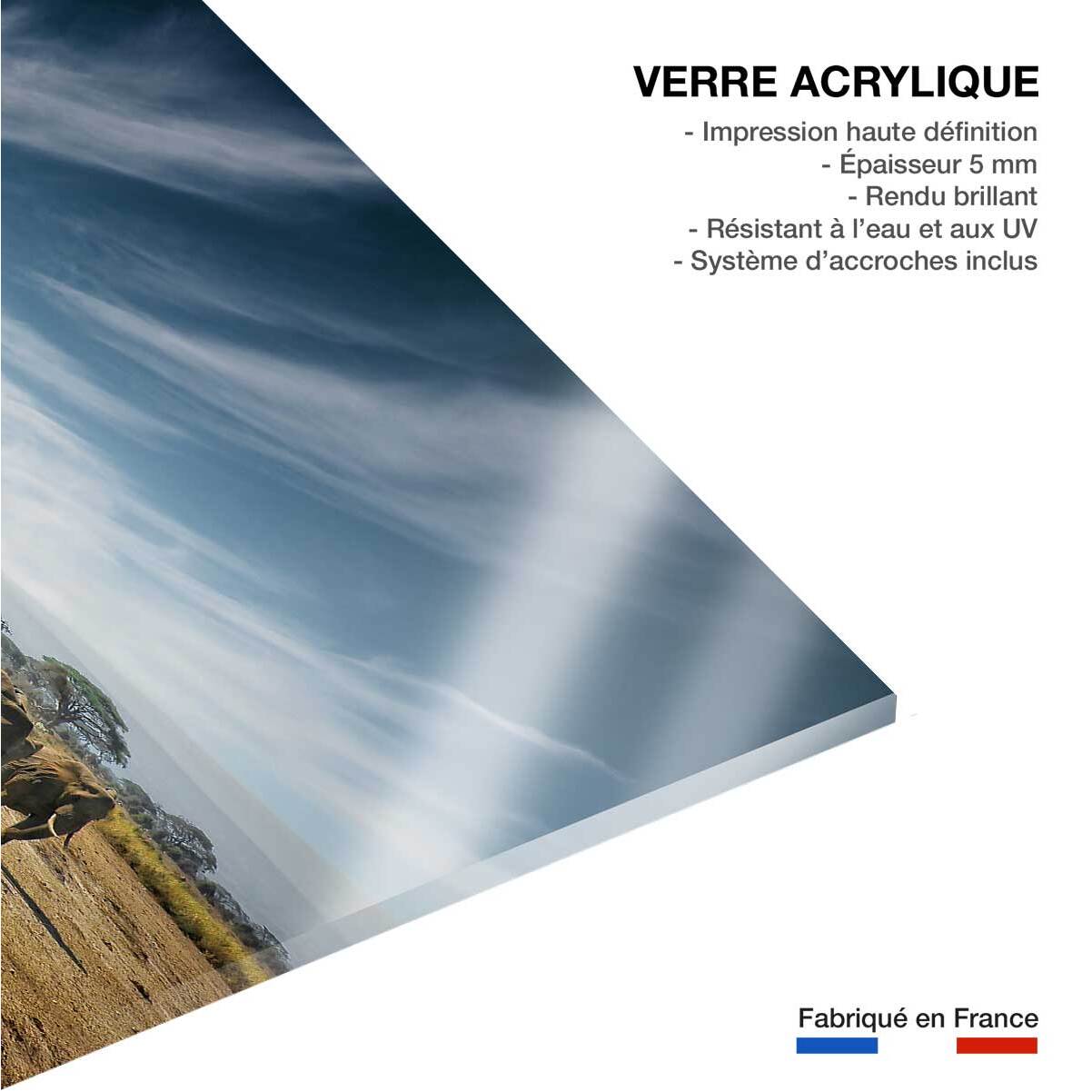 Tableau animaux elephant family Tableau plexiglas