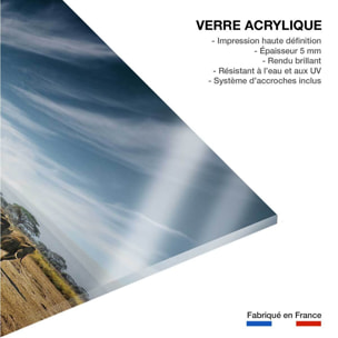 Tableau animaux elephant family Tableau plexiglas