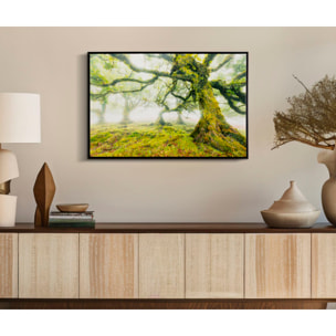 STAMPA SU TELA LACCATA C/CORNICE FORESTA CM 90X4X60