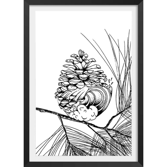 Poster pigne des landes Affiche + cadre en bois - Noir