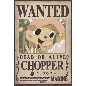 One Piece Poster Wanted Chopper Wano 52 x 38 cm Gbeye