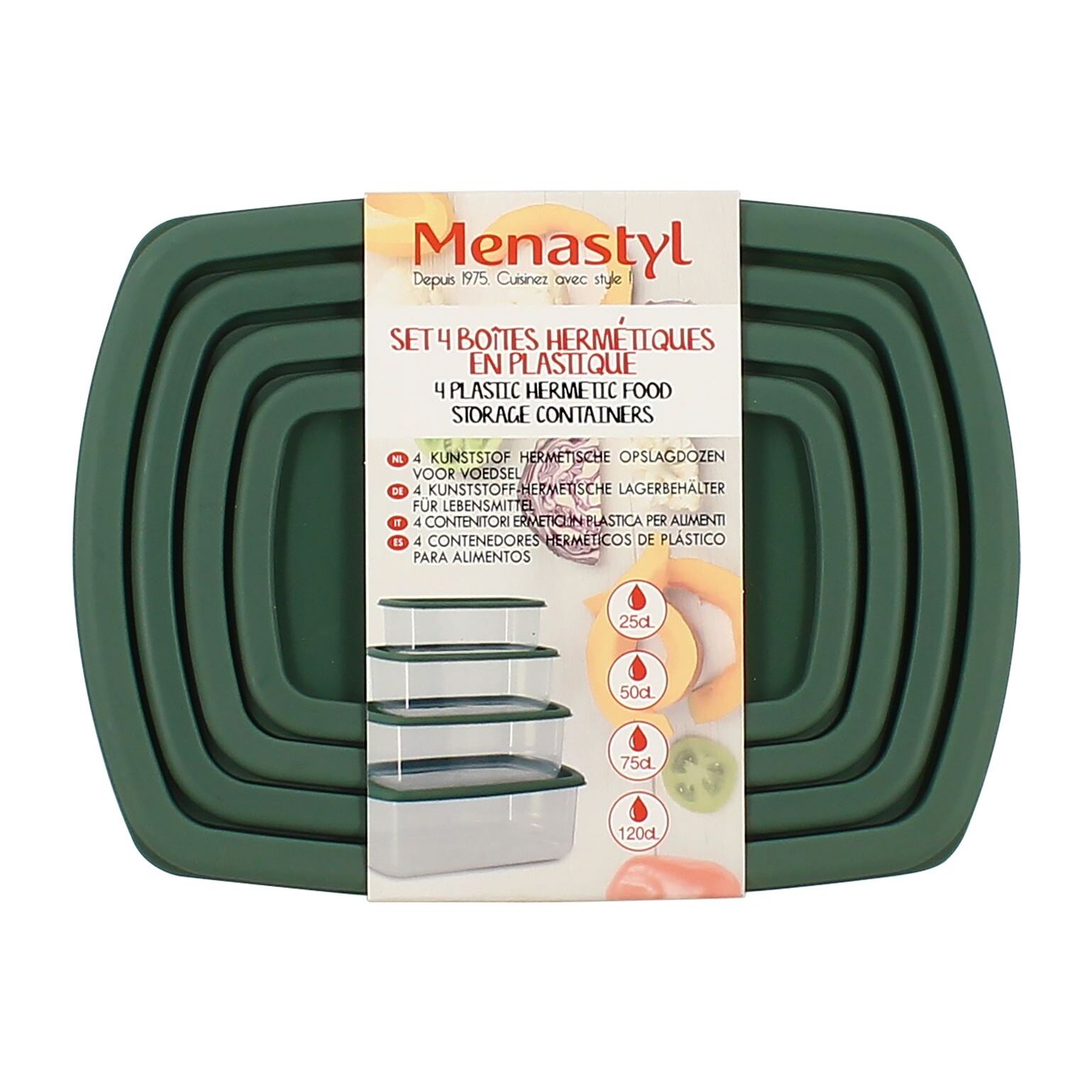 Lot de 4 boîtes de conservation en plastique vert
