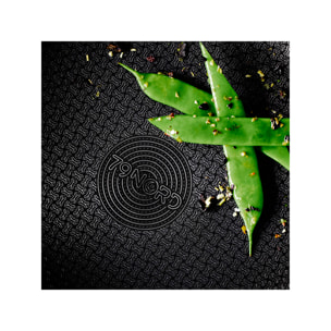 Sauteuse en acier avec couvercle en verre 79Nord  D16 cm