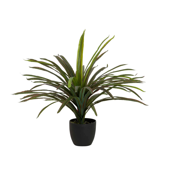 Planta Yucca Con Maceta 58x58x58 Cm