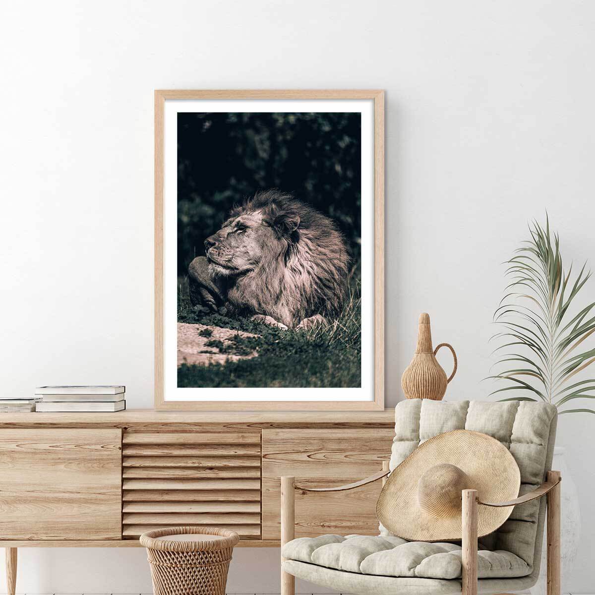 Affiche lion mon roi Affiche + cadre en bois - Chêne