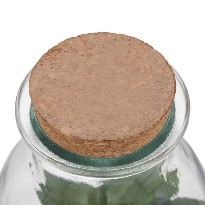 Terrarium "Bota" verre H19,5cm
