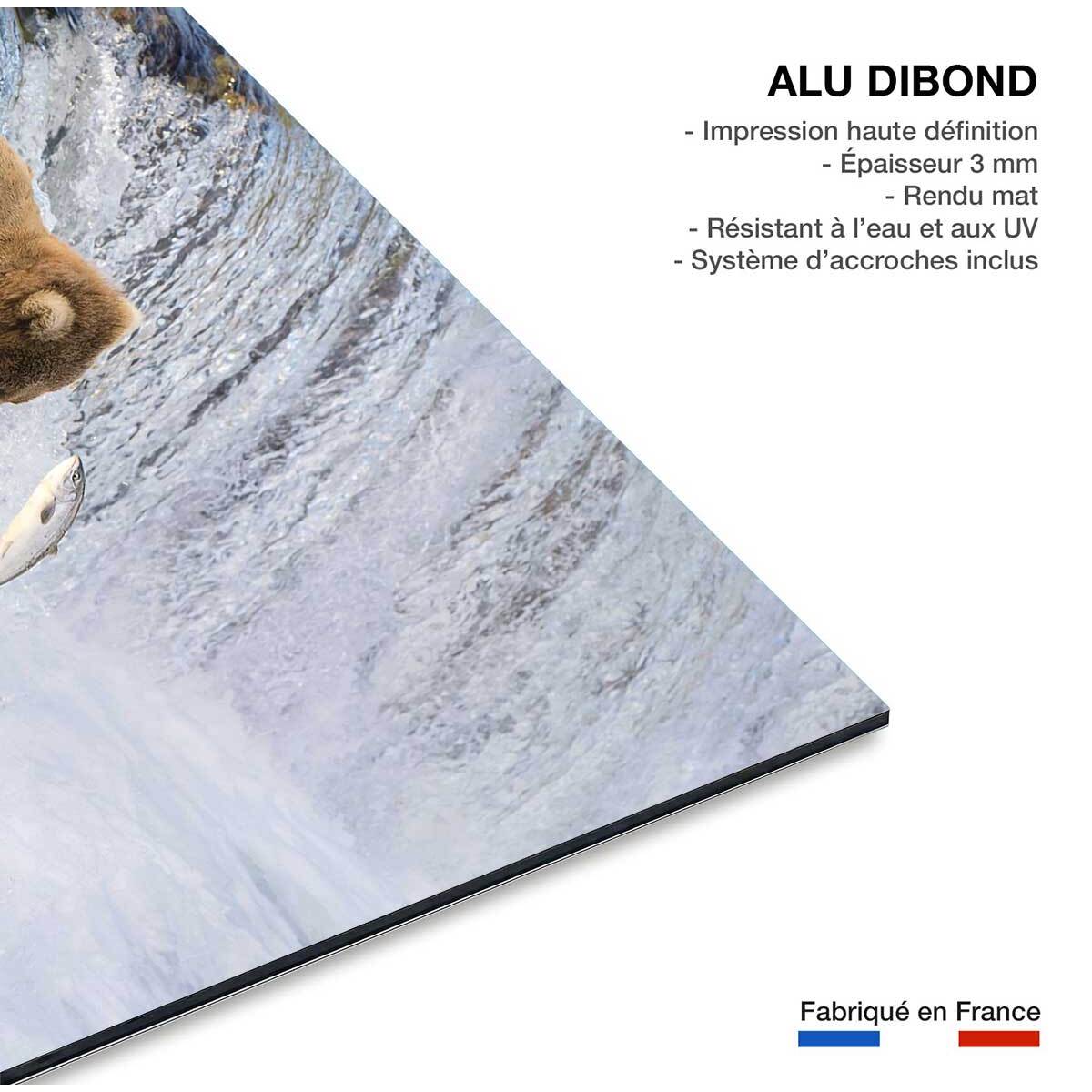 Tableau Un ours pêche sur le bord Tableau alu Dibond