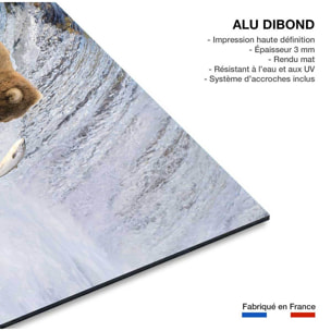 Tableau Un ours pêche sur le bord Tableau alu Dibond