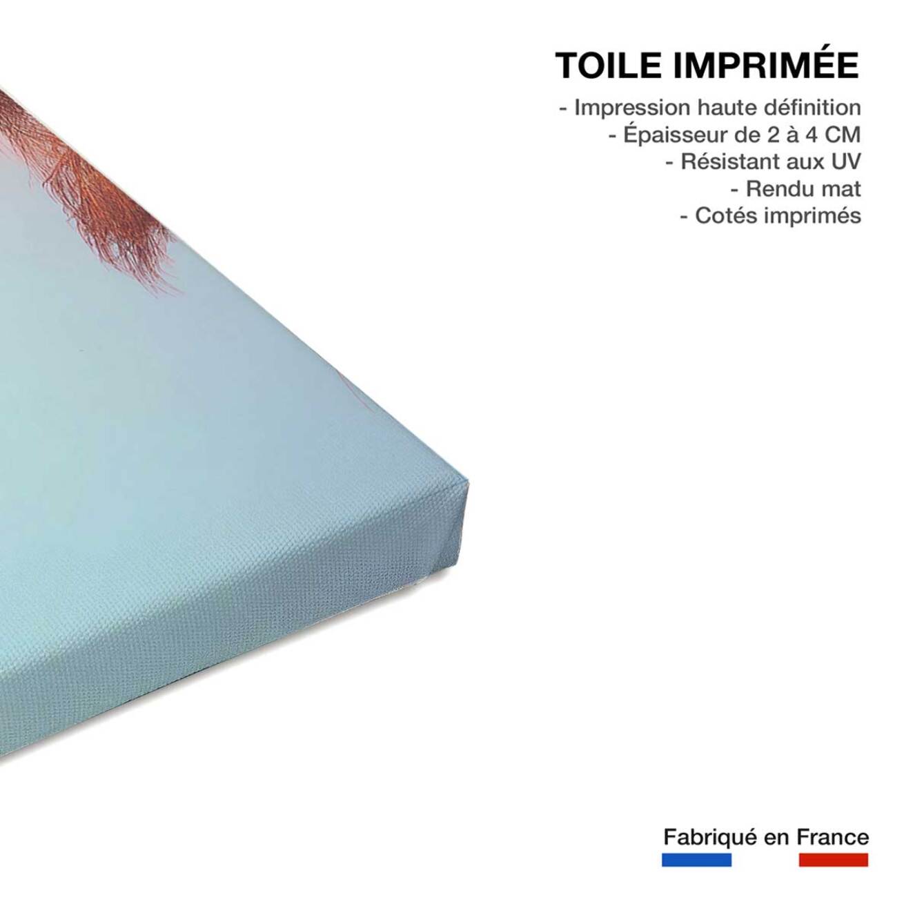 Tableau palmier rose beverly hills sunset  Toile imprimée