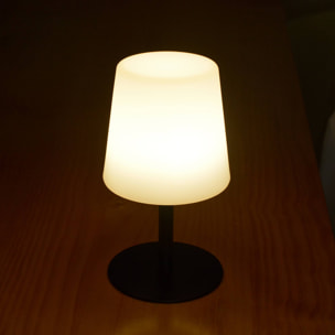 Lampe de table intérieur/extérieur LED 16cm LAMPADA S COLOR