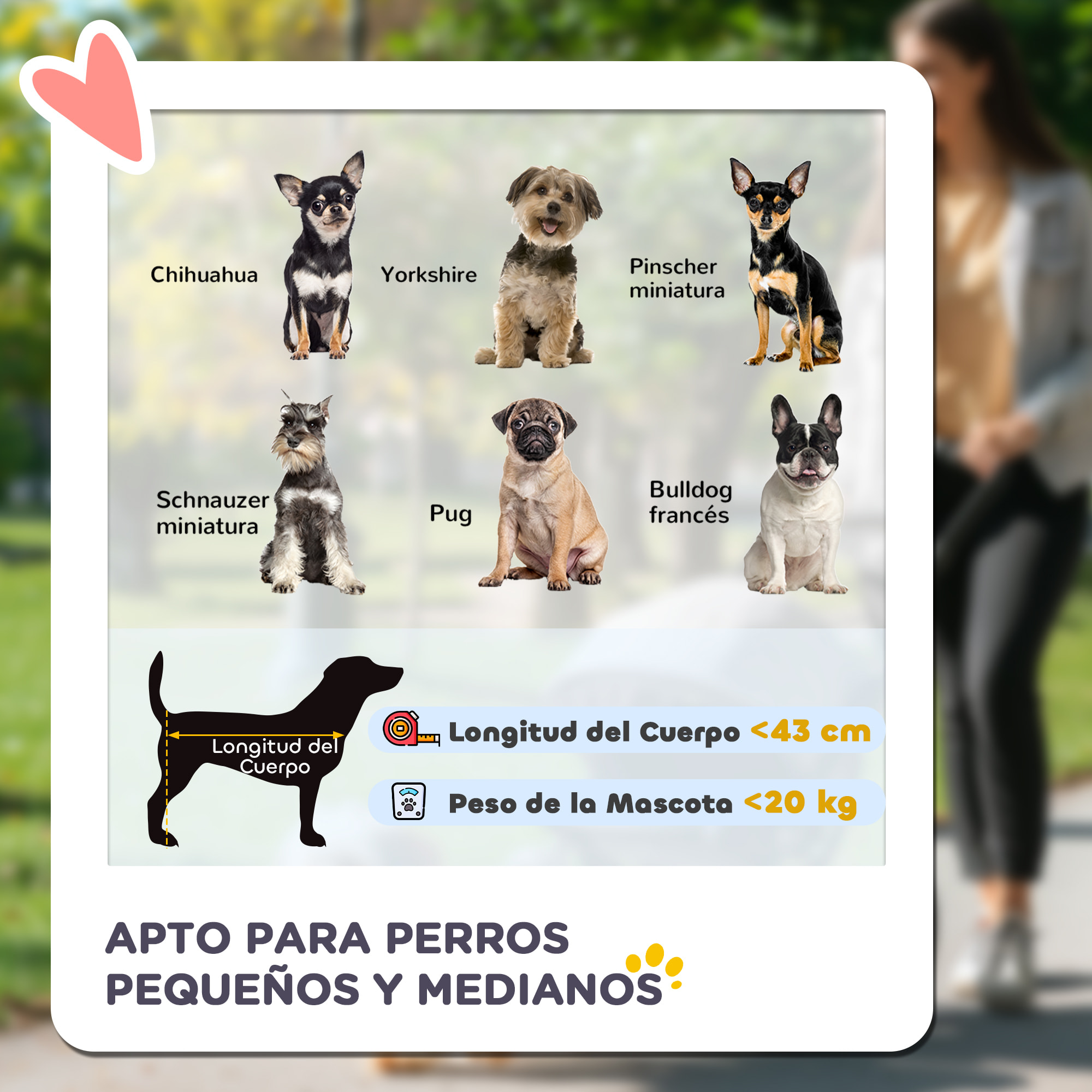 PawHut Carrito para Perros Plegable Cochecito para Mascotas Carrito para Perros Medianos Pequeños con Cesta de Almacenaje Capota Ajustable Ventana de Malla y 3 Ruedas Grandes 111x58x107 cm Gris