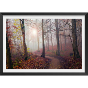 Affiche l'arbre et l'automne jaune Affiche + cadre en bois - Noir